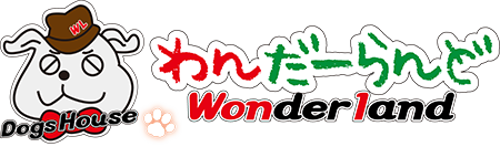 ワンダーランド