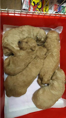 スタンプーの赤ちゃん