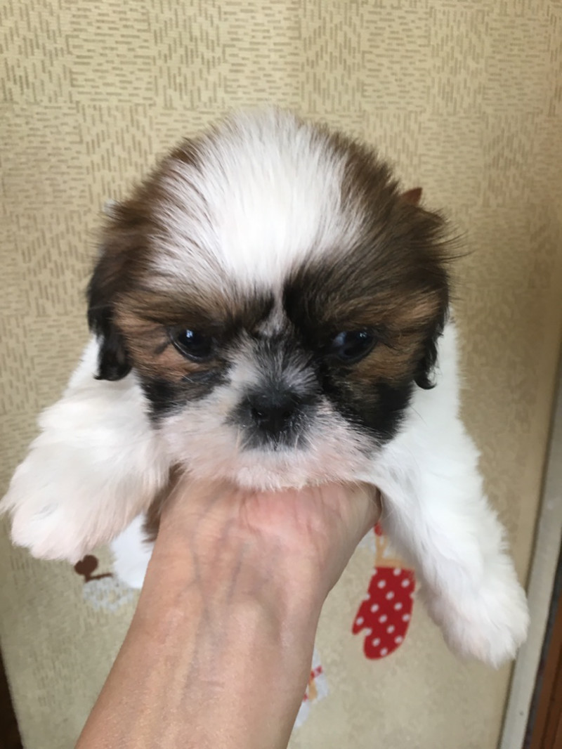 私達仲のいい姉妹